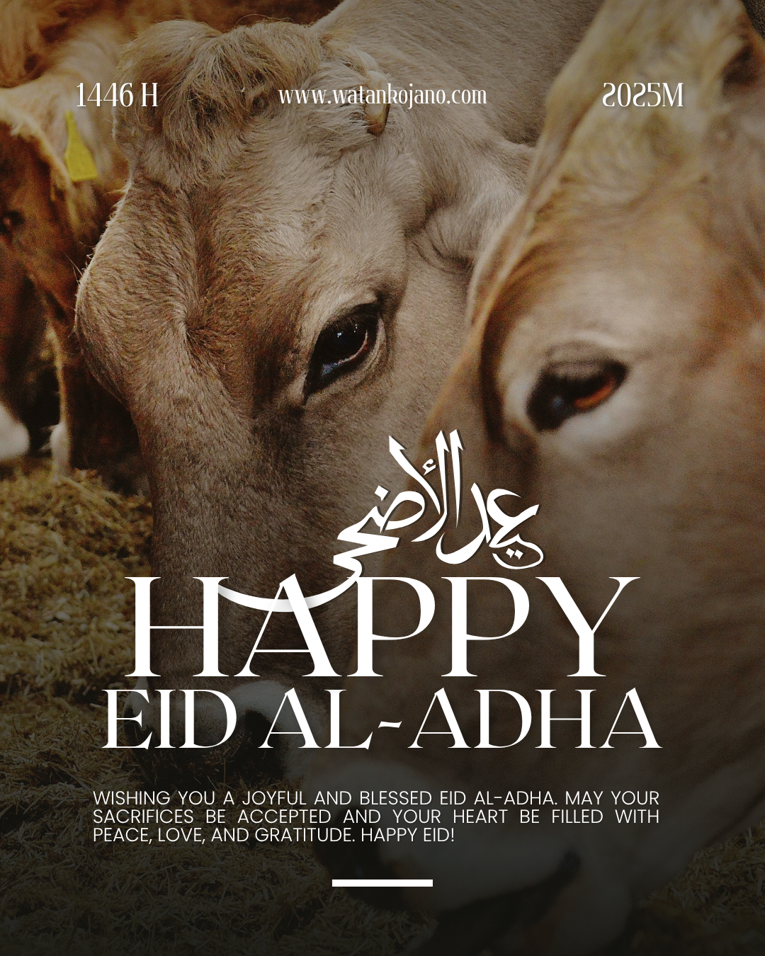 Eid Al-Adha 2025 Mubarak: A Time for Deep Reflection, Selfless Action, and Purposeful Living