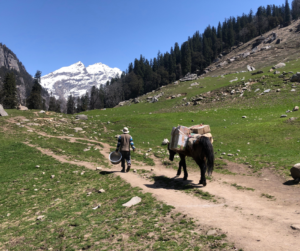 How to Reach Kashmir from Major Cities Across India: A Comprehensive Guide to Travel Options