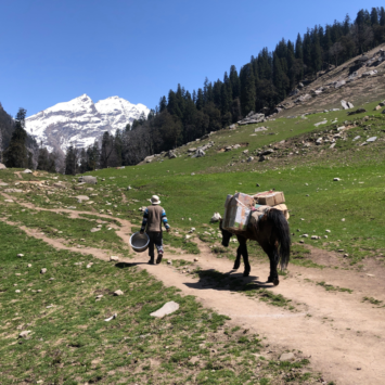 How to Reach Kashmir from Major Cities Across India: A Comprehensive Guide to Travel Options