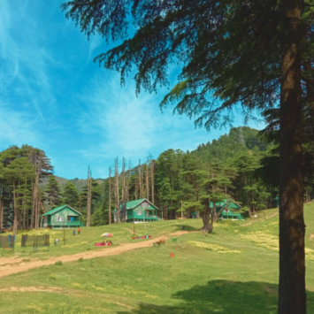 Top 10 Things to Do in Patnitop: Your Complete Travel Guide