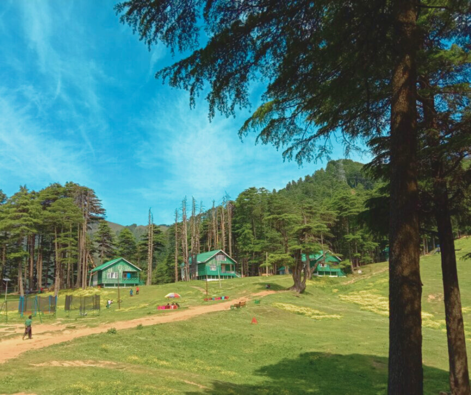 Top 10 Things to Do in Patnitop: Your Complete Travel Guide