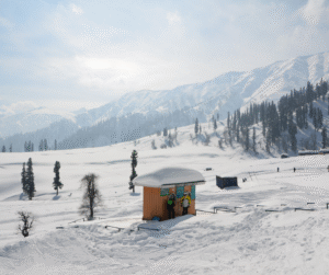 Beyond the Postcard: Kashmir’s Winter Snow Journey That Changes You Forever