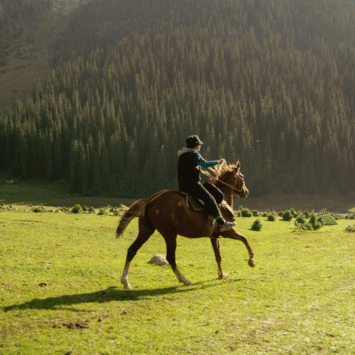 Horse Riding in Pahalgam: A Journey That Awakens the Soul and Redefines Adventure in Kashmir